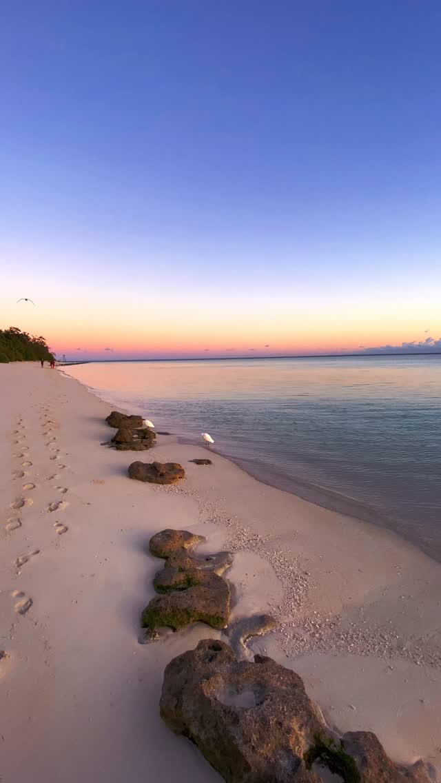 Just a peaceful start to the day on the reef 💛
