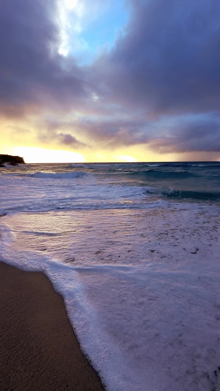 A little piece of Bronte every day 💛