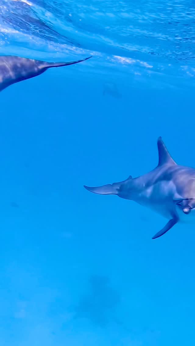 Hello my friend 🩵