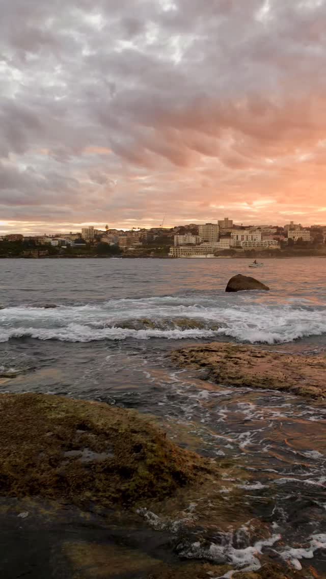 No matter how many times, Sydney sunsets never get old 🌅