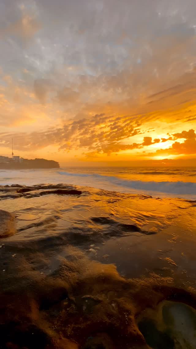 No matter how many times, Sydney sunrises never get old 🌅