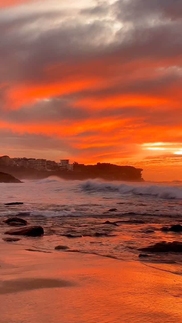 A little piece of Bronte every day 💛