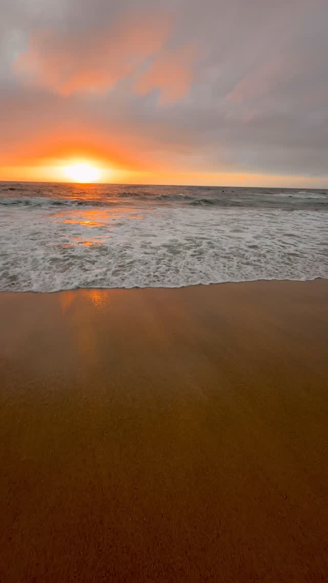 A little piece of Bronte every day 💛