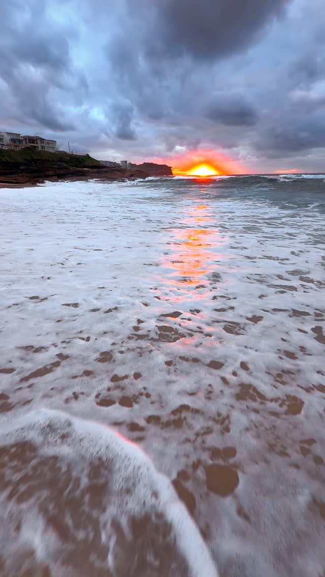 A little piece of Bronte every day 💛