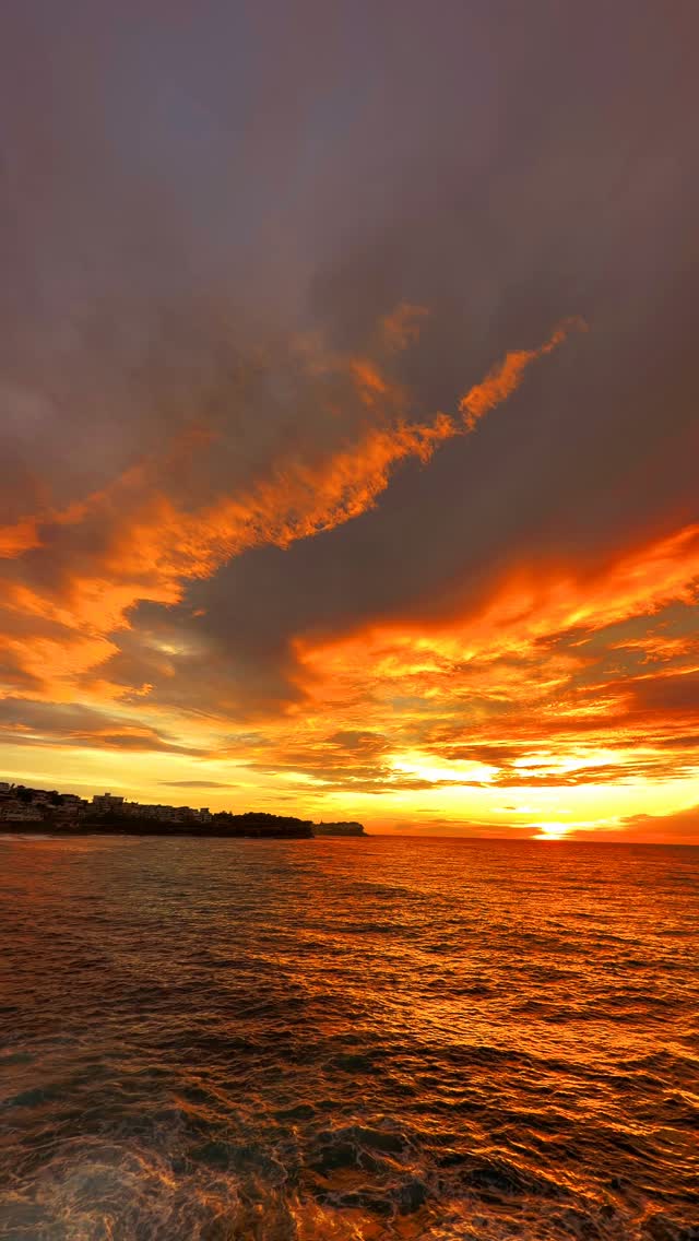 A little piece of Bronte every day 💛