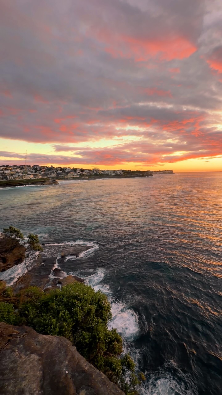 Good morning Sydney 💛