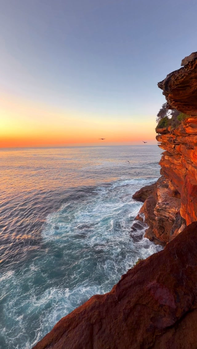 A little piece of Bronte every day 💛