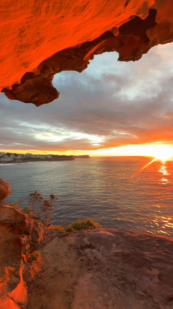 Sydney mornings at their absolute best 🔥