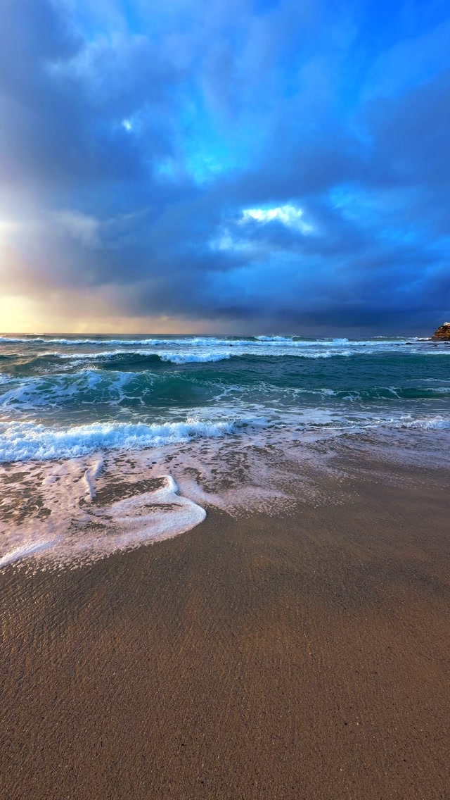 A little piece of Bronte every day 💛