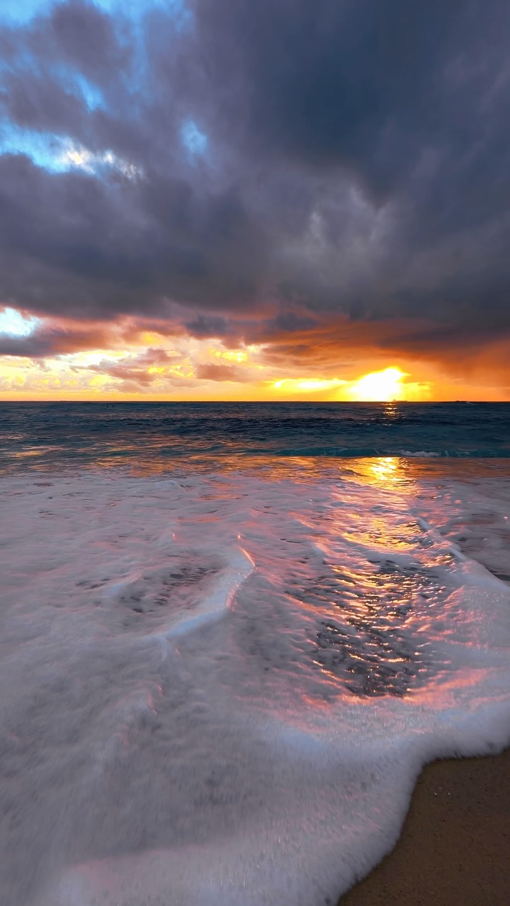 Daily Sunrise at Bronte Beach 💛
