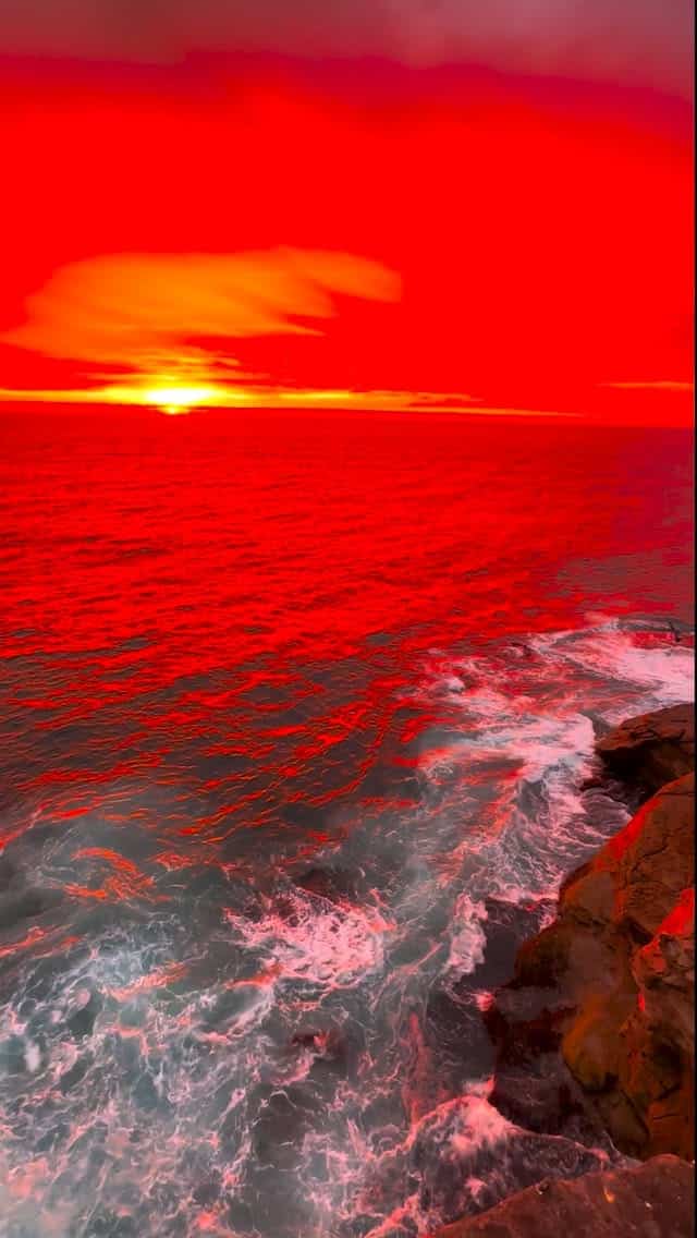 Red Light Therapy 🔥