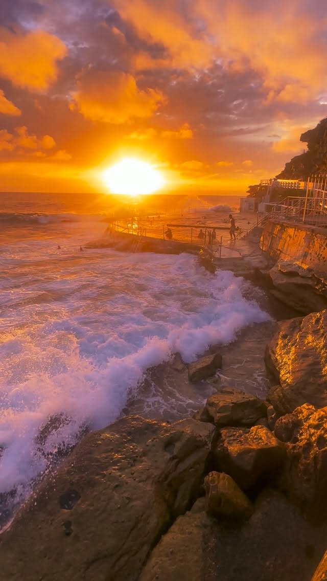 A little piece of Bronte every day 💛