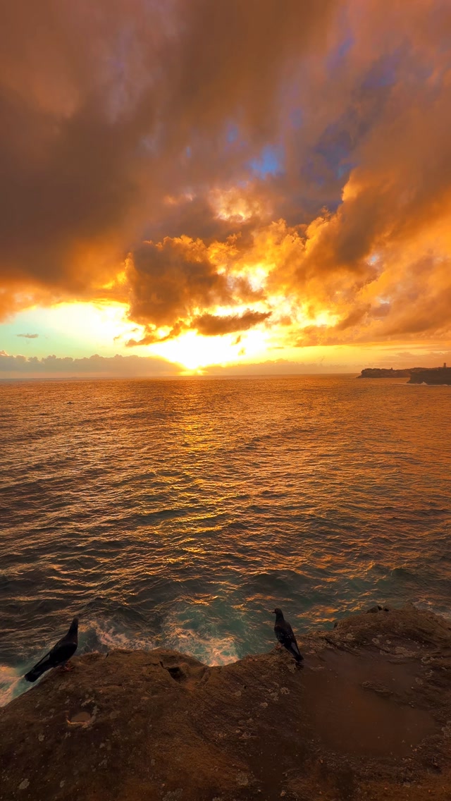 The best sunrise spot in Sydney 🙌🏼