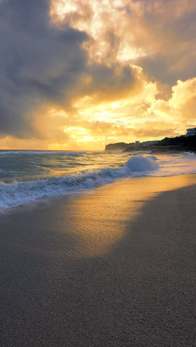 A little piece of Bronte every day 💛