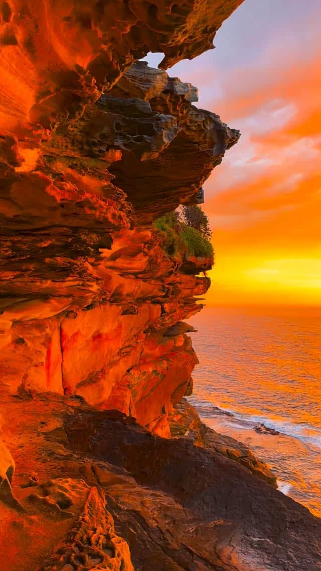 Sydney mornings at their absolute best 🔥