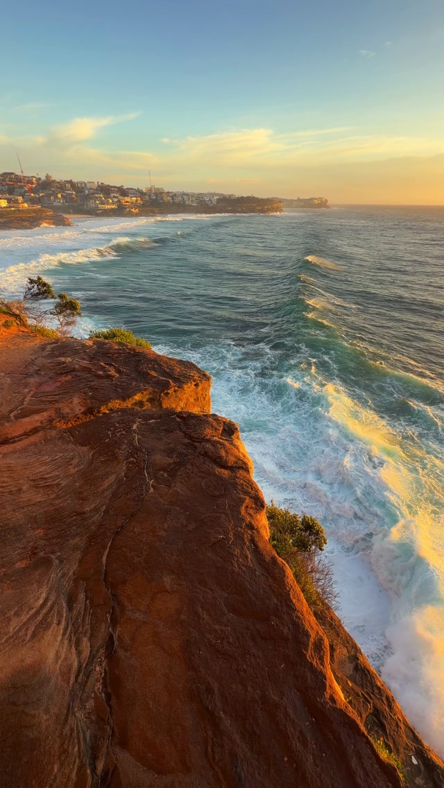 Good morning Sydney 💛