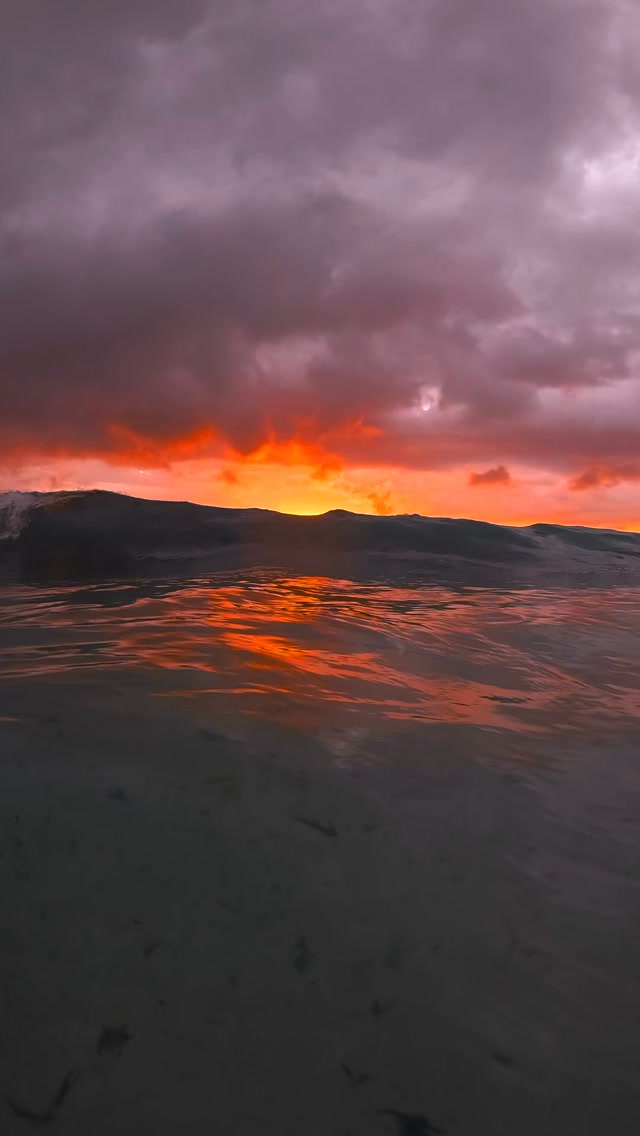 Peace comes in waves 🌊