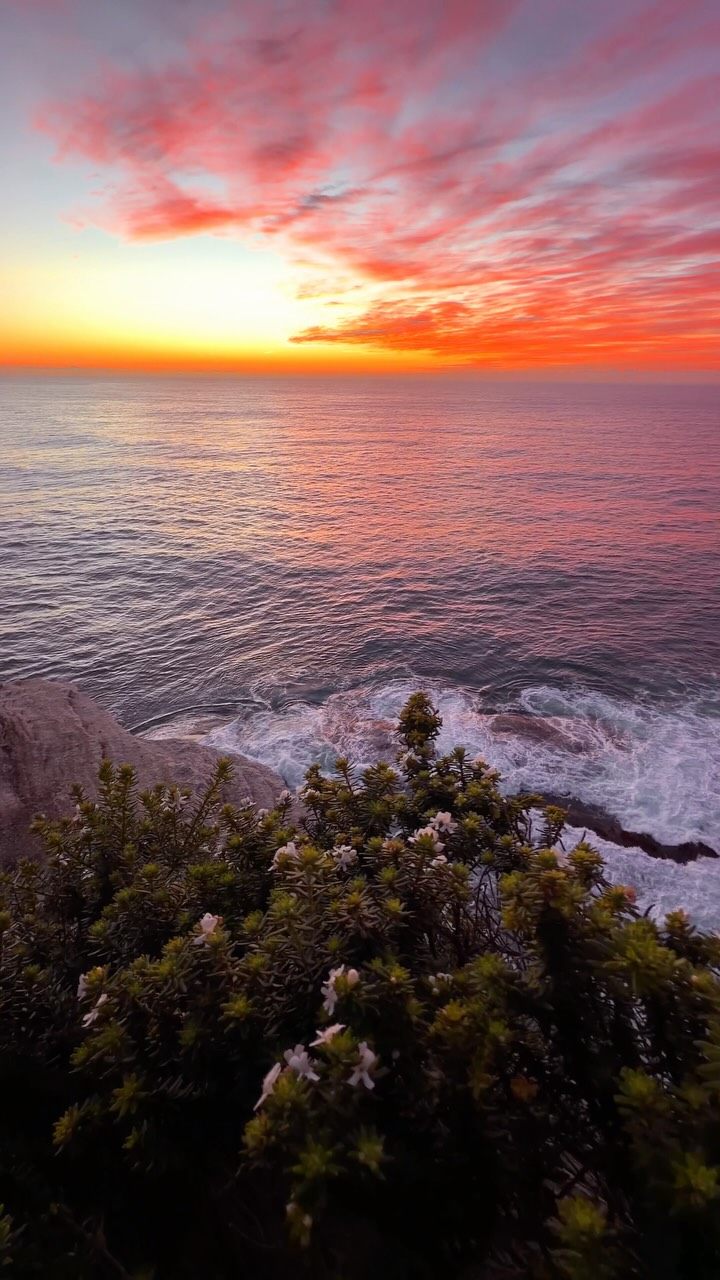 One of the most epic views along Australia’s East Coast 💛