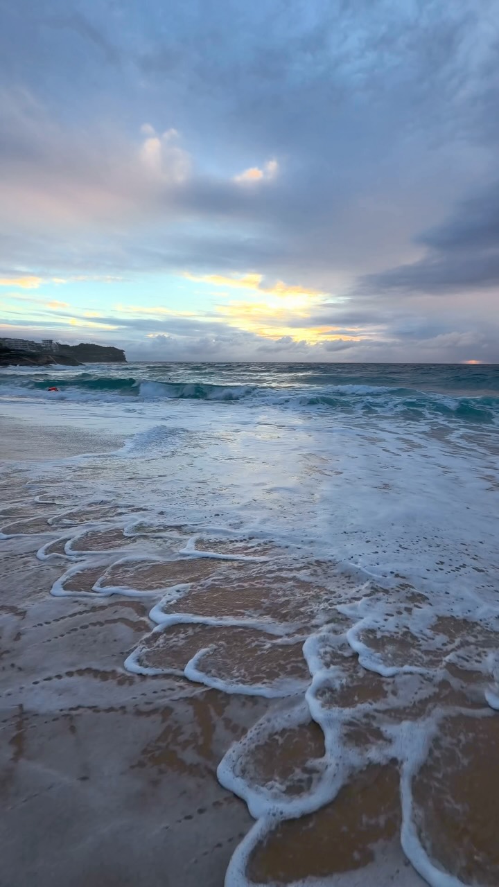 A little piece of Bronte every day 💛
