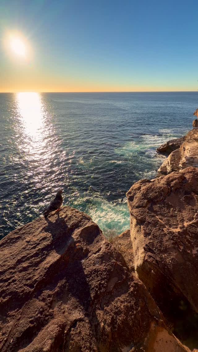 #goodmorning #Bronte #Australia #BronteBeach #feelnewsydney #feelnsw 
#exploreaustralia #Bondi #bondibeach #ilovesydney #seeaustralia #sunrise
#bondilife #seeaustralia #sunriselover #landscapephotography #seascapes  #discoverearth