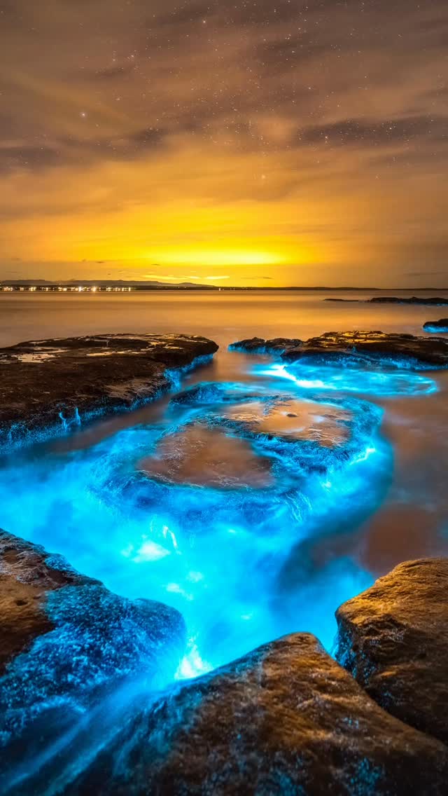 Bioluminescence paradise 🩵

#jervisbay
