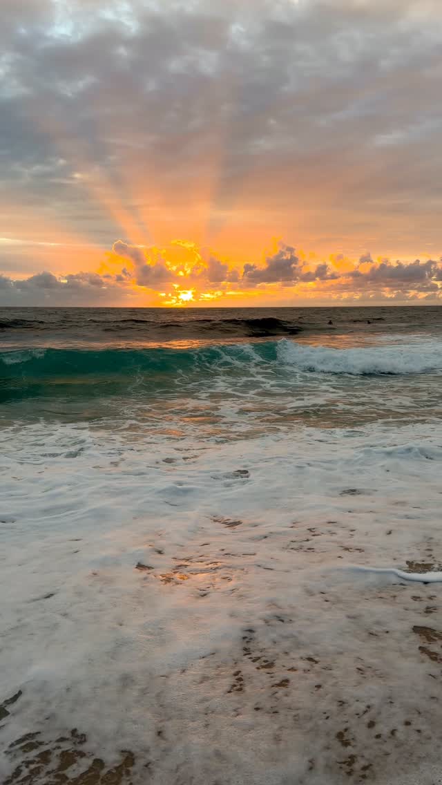 A little piece of Bronte every day 💛