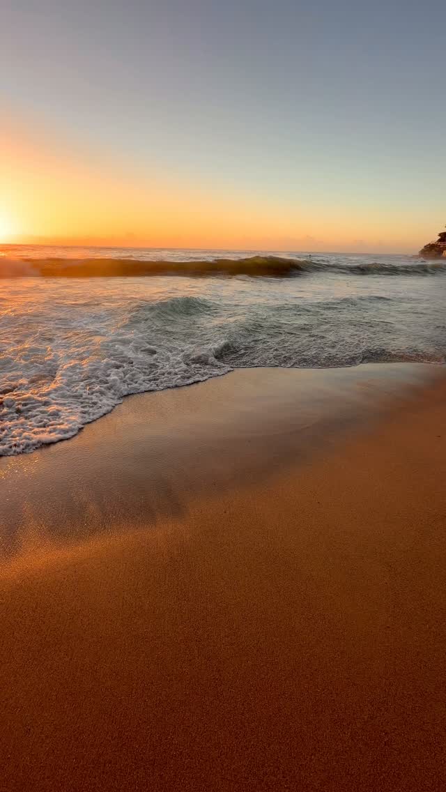 A little piece of Bronte every day 💛