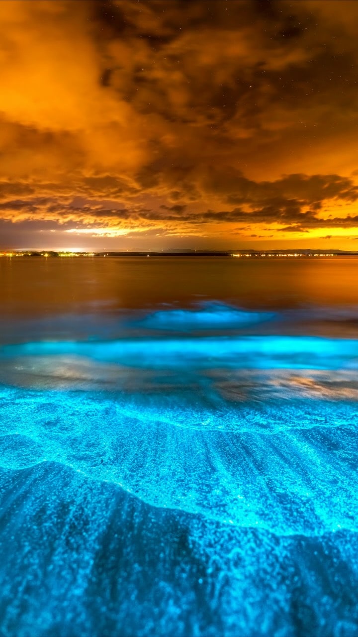 If you’ve ever watched Avatar and wondered what Pandora would look like in real life, this is probably the closest you’ll get.

Every image in this reel is a real photograph of bioluminescence captured in the ocean. No AI, no digital effects, just tiny organisms producing their own light and turning the waves into an electric blue spectacle.