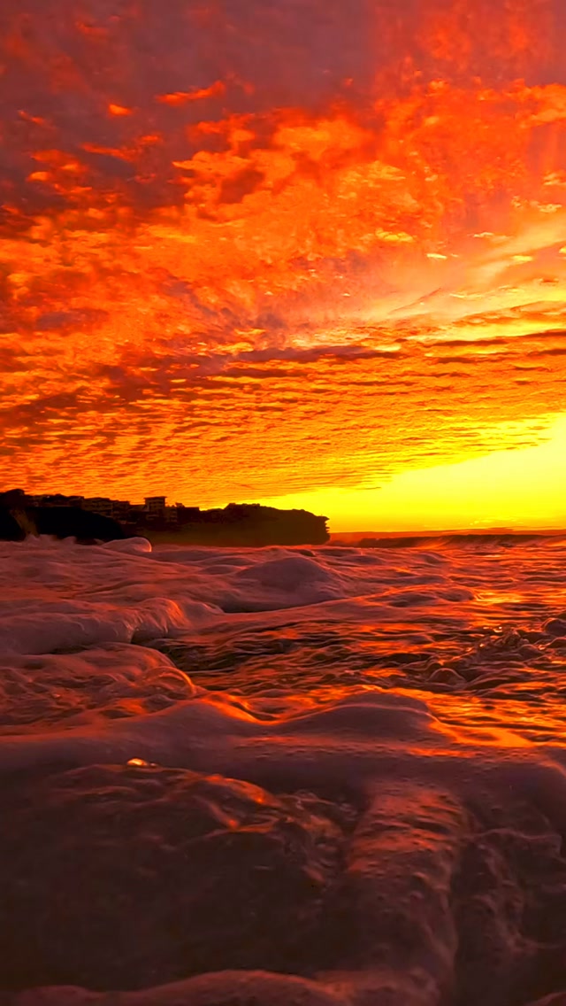 Sydney mornings at their absolute best 🔥