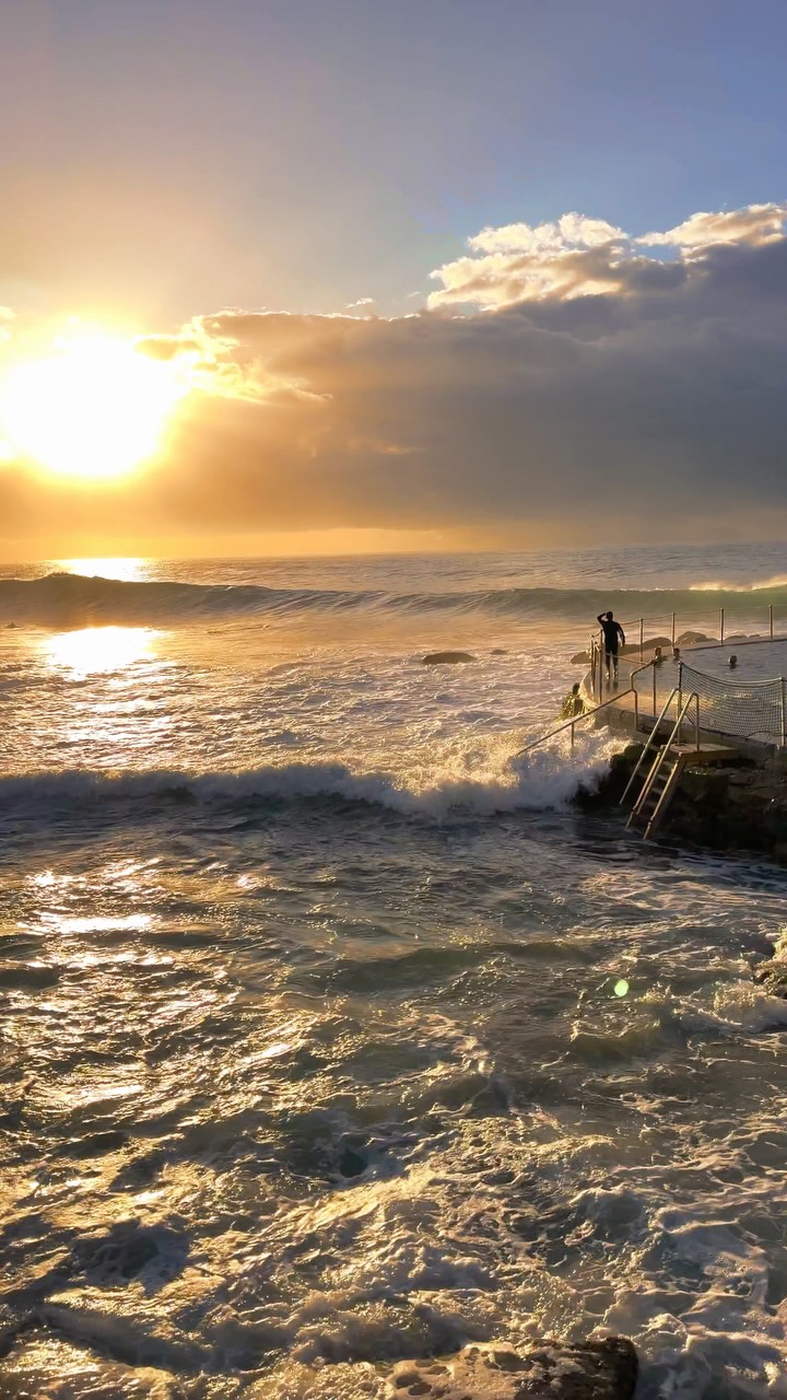 A little piece of Bronte every day 💛