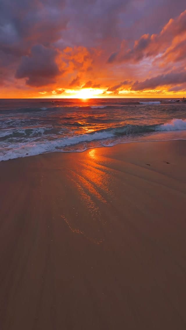 Daily Sunrise at Bronte Beach 💛