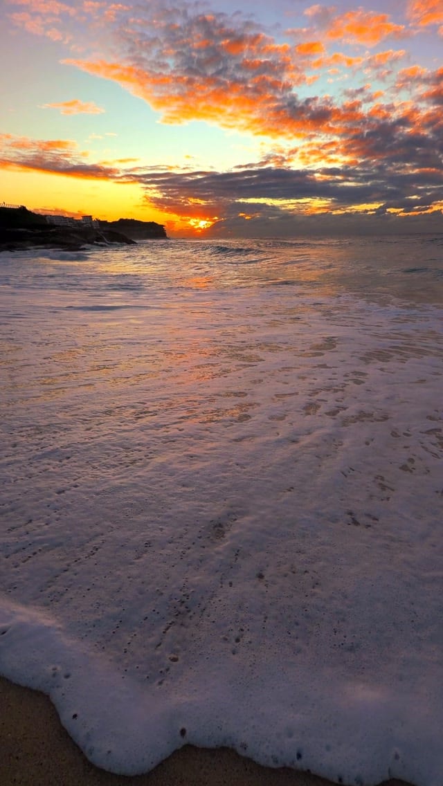 A little piece of Bronte every day 💛