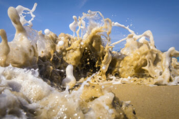 Sandy ocean wave exploding into sea foam on the South Coast of New South Wales, Australia, captured on a sunny day
