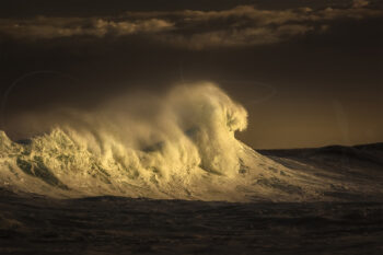 Powerful ocean wave illuminated by golden sunset light at Tamarama Beach, Sydney, fine art ocean photography.