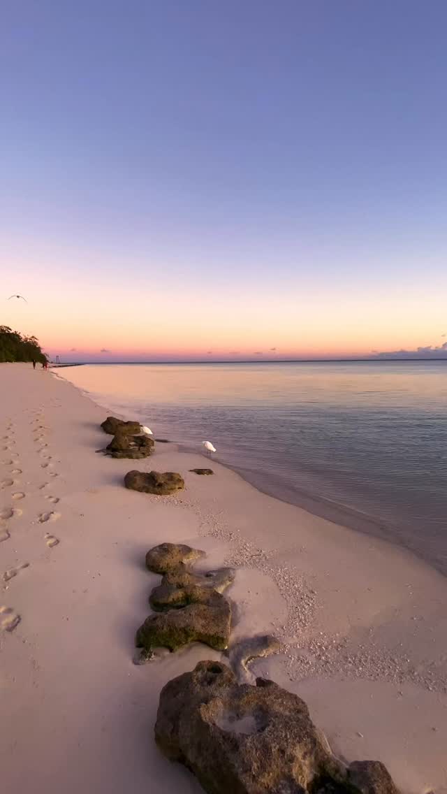 #goodmorning #heronisland #Australia 
#exploreaustralia #seeaustralia #sunrise
#seeaustralia #sunriselover #landscapephotography #seascapes  #discoverearth