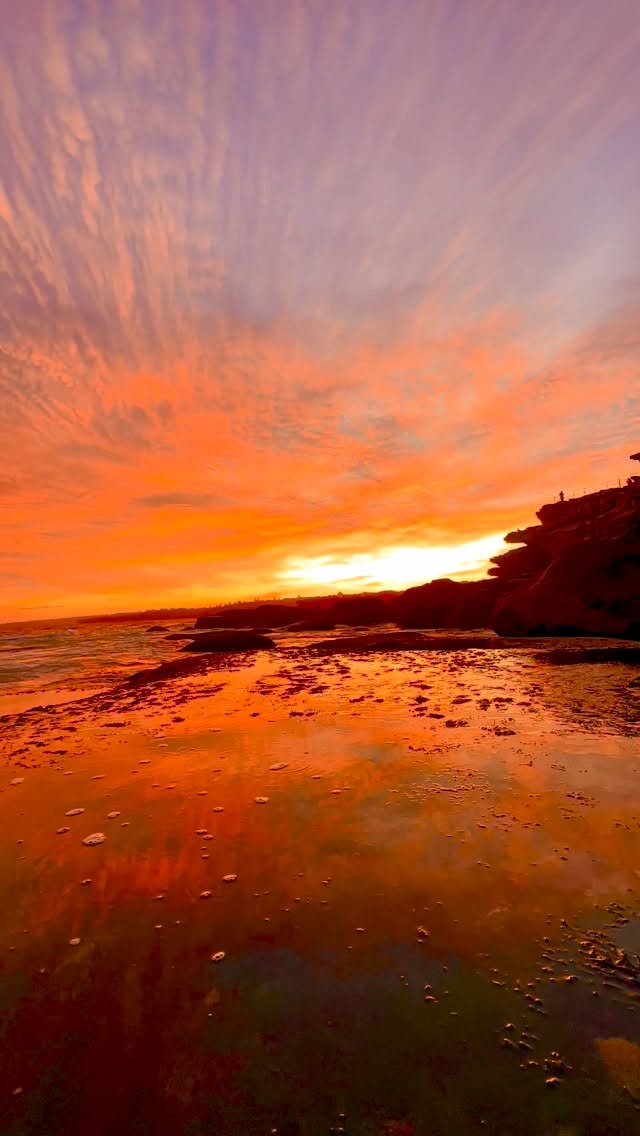 #feelnsw 
#exploreaustralia #Australia 
#seeaustralia #sunset #sunsetlover #landscapephotography #seascapes
 #Bondi #bondibeach #ilovesydney #Bronte #BronteBeach #feelnewsydney #bondilife