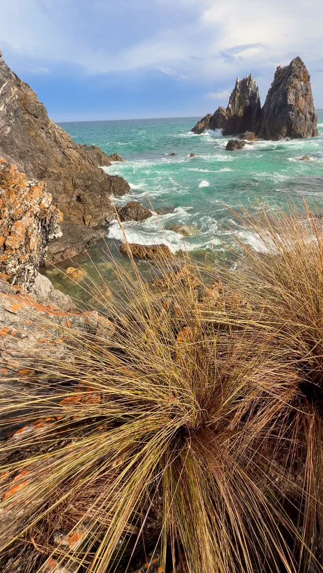 #australialovesyou #camelrock #Australia #bermagui #feelnsw 
#exploreaustralia #seeaustralia #sunrise
#seeaustralia #sunriselover #landscapephotography #seascapes  #discoverearth