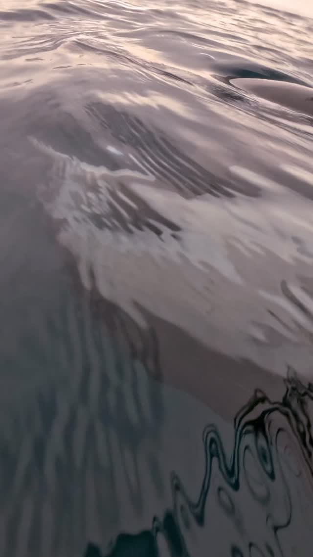 Underwater romance 🐬