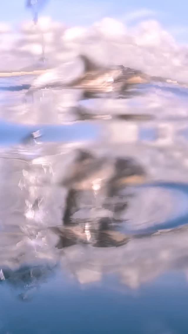 Ocean perfection 🩵