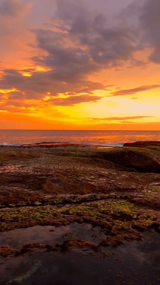 Ending the day the Bondi way 🔥