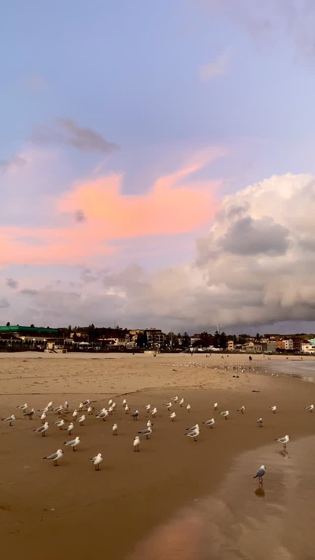 Bondi skies putting on a show 🙌🏼