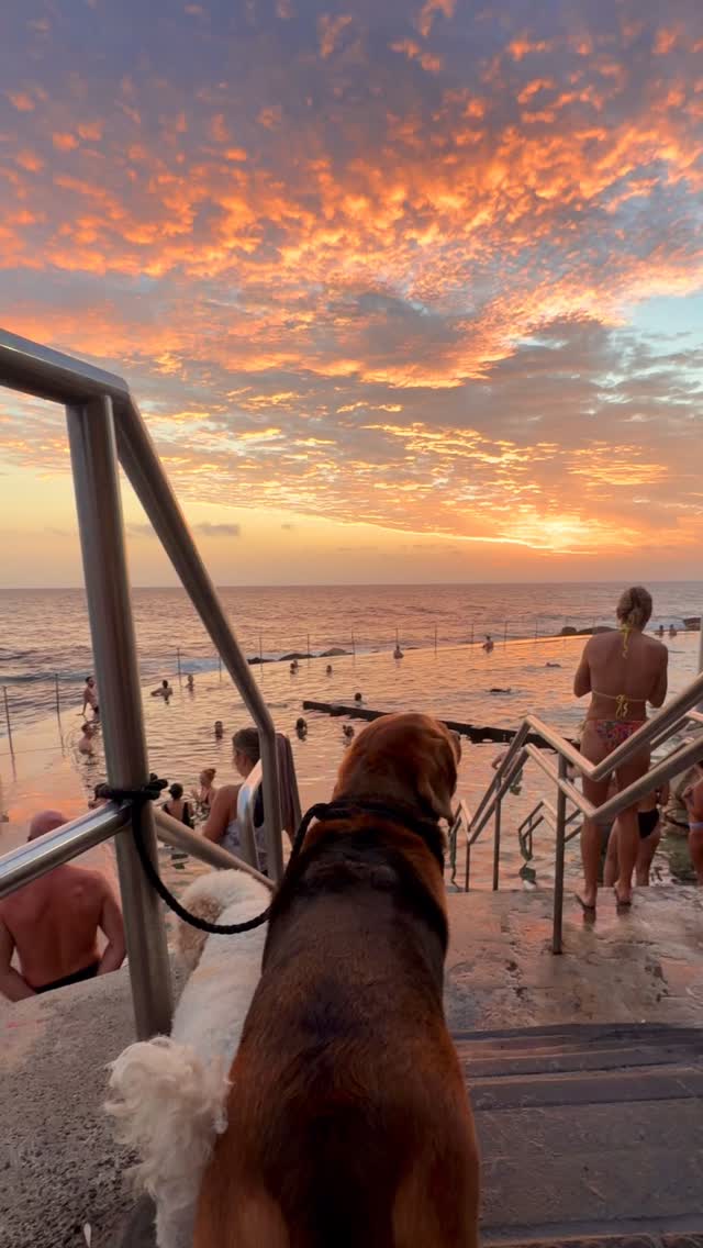 Daily Sunrise at Bronte Beach 🌅