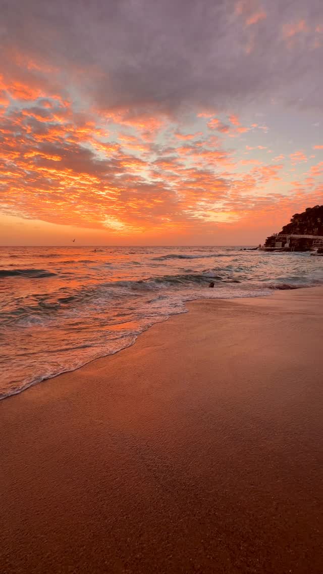 A little piece of Bronte every day 💛