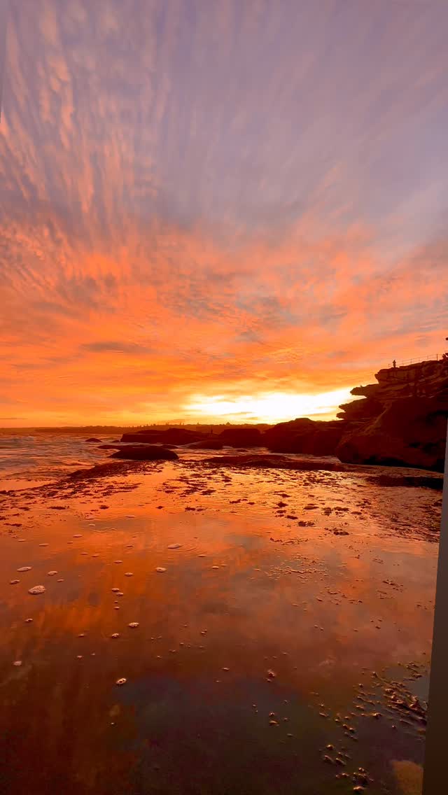 Bondi on fire 🔥 

#bondibeachsydney