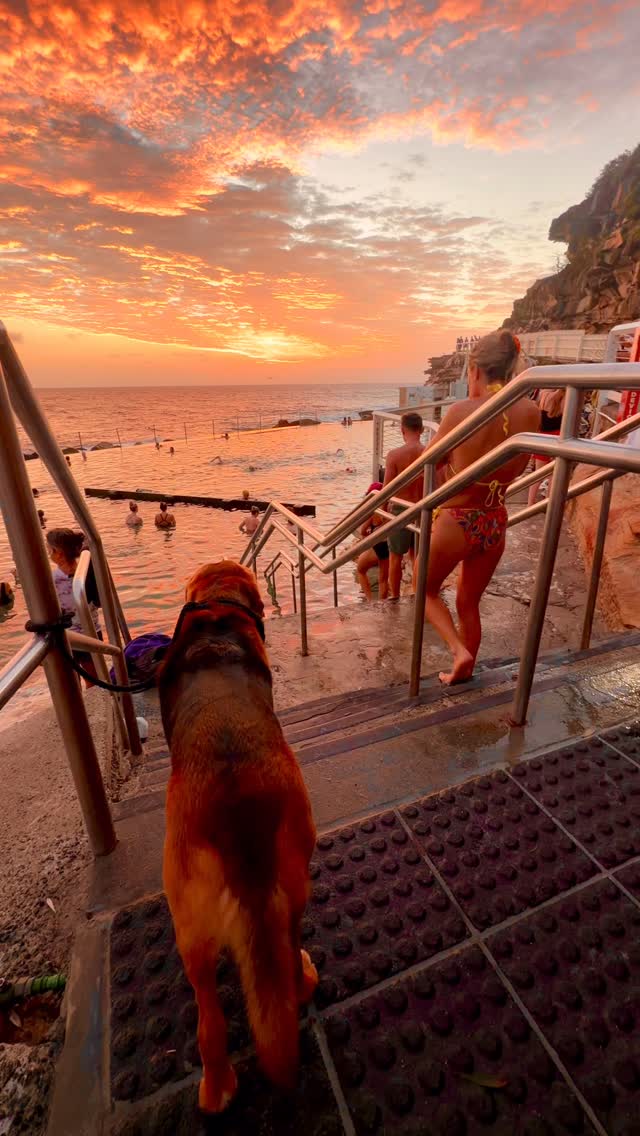 Bronte Beach every day 💛