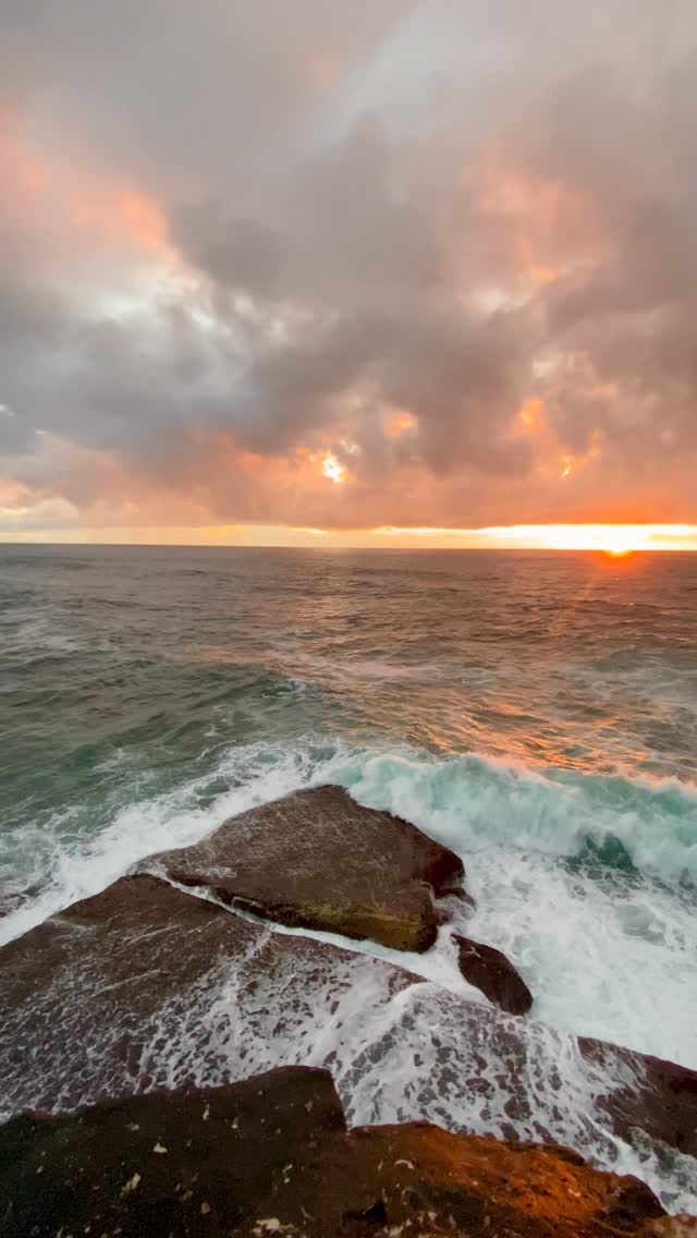 Good morning Sydney ✨