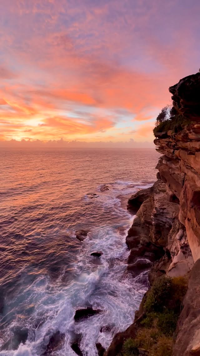 A little piece of Bronte every day 💛