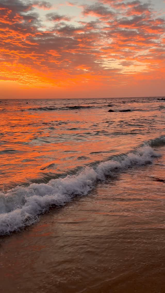 A little piece of Bronte every day 💛