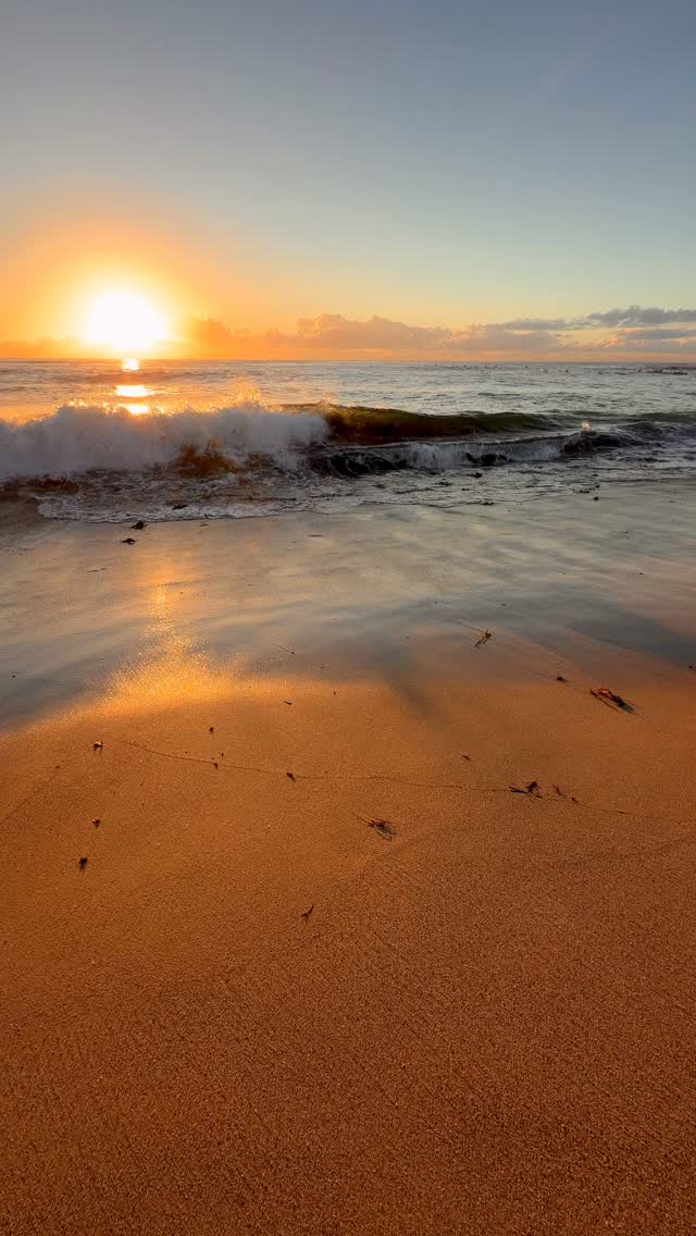 A little piece of Bronte every day 💛