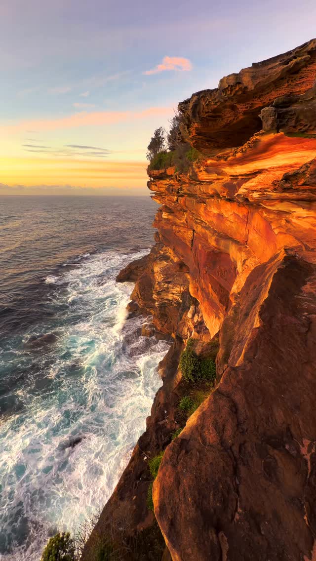 Good morning Sydney 💛